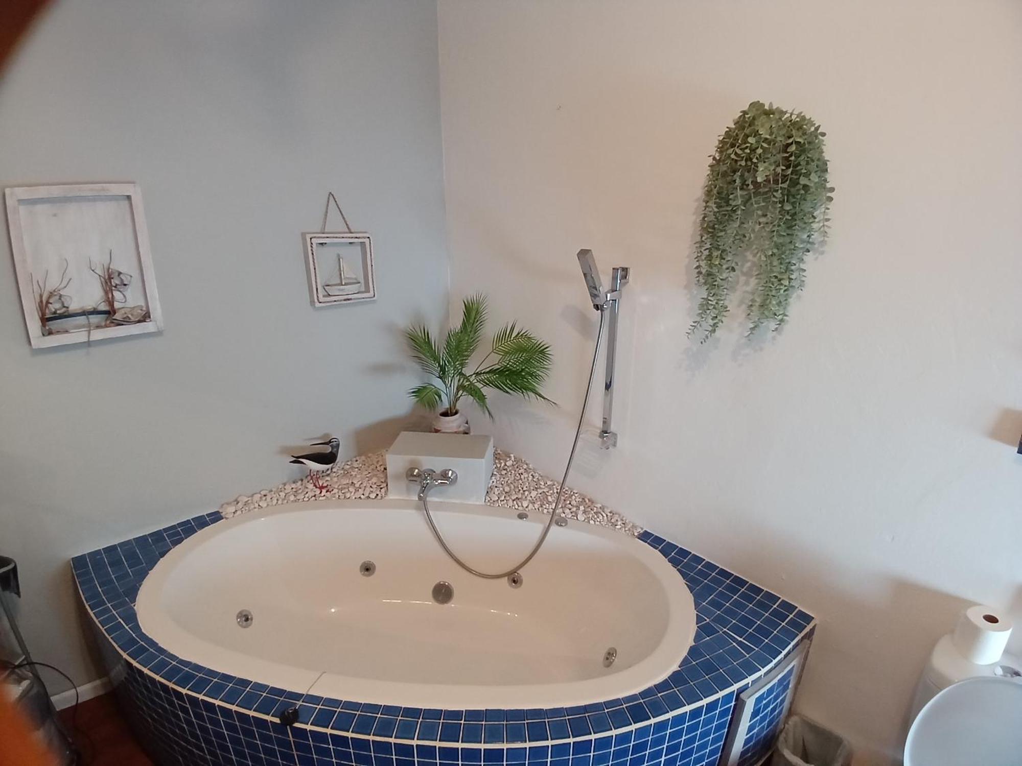Ons Stee Bed And Breakfast ウェリントン エクステリア 写真